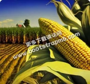 以专业守护您的合法权益 - 旺财28