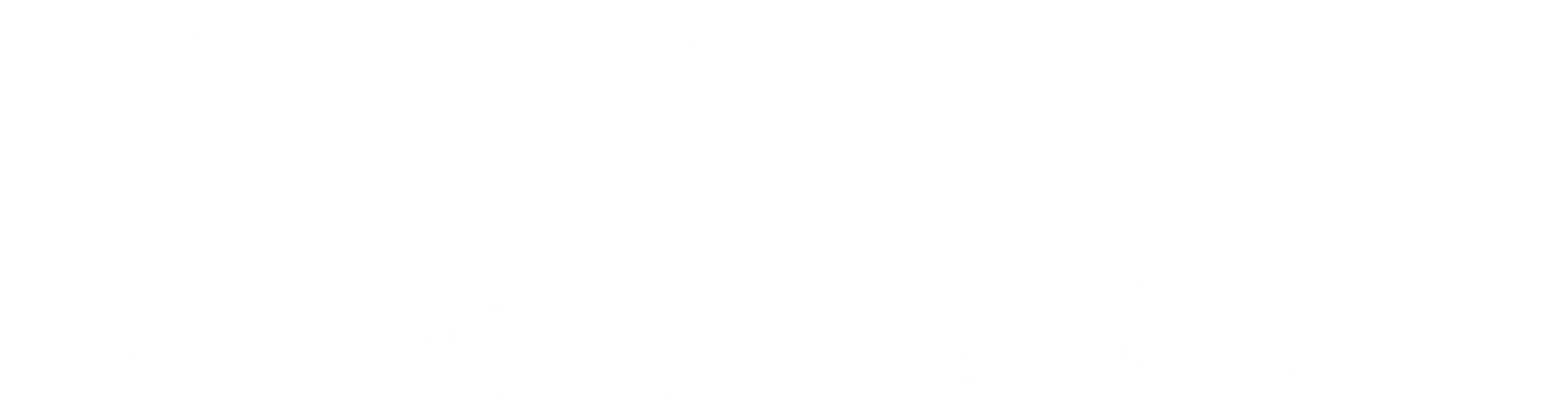 服务项目 - 旺财28