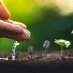 核心法律服务项目 - 旺财28